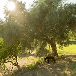 مزرعة للإقامة Masseria Sardo *