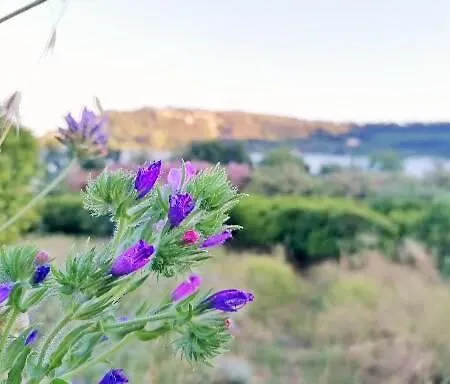 Masseria Sardo *