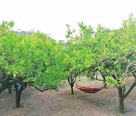 Masseria Sardo