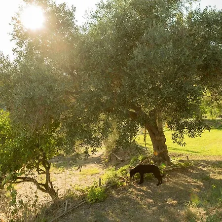 Farm stay Masseria Sardo *