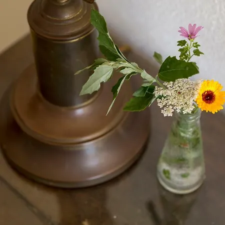 Farm stay Masseria Sardo