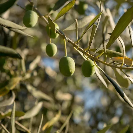 Masseria Sardo Pouzzoles
