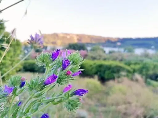 Masseria Sardo *