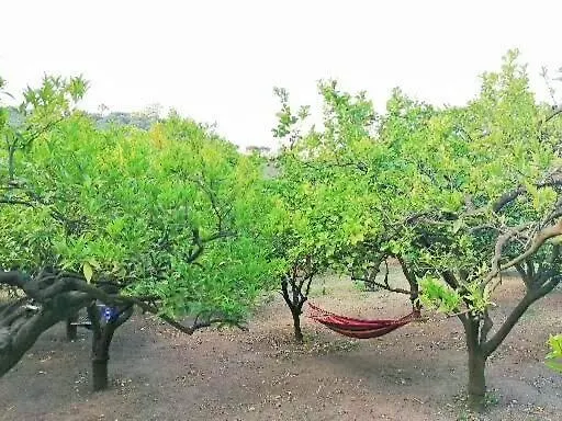 Masseria Sardo
